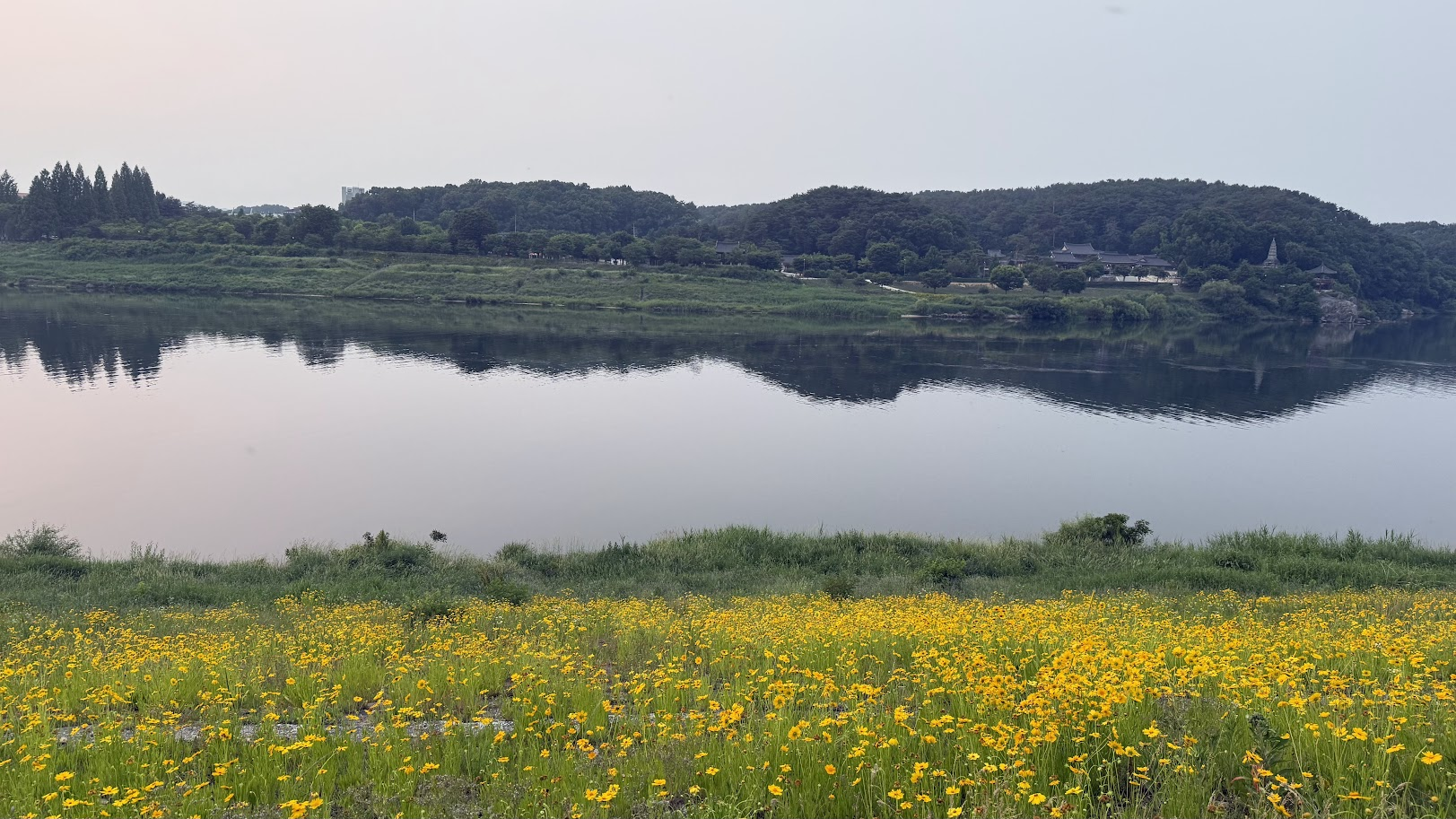 강과 꽃이 있는 풍경